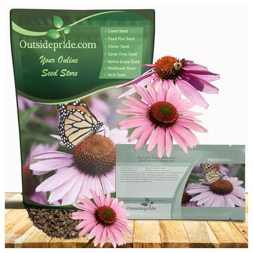 Best garden flowers for honey bees Purple Echinacea Coneflower Flower Seeds
