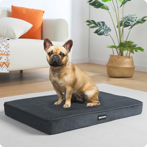 HMTOPE Orthopädisches Hundebett, 8cm Dicke Hundekissen für Kleine Hunde, Abnehmbar und Waschbar Hundematte, rutschfeste Unterseite, Wasserdichtes Innenfutter, 76 cm, Dunkelgrau