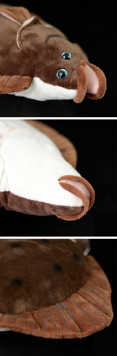 昭和レトロ　ヒラメ!?カレイ！？　ぬいぐるみ Amazon.co.jp: どっちがどっちか分かるかな カレイとヒラメ