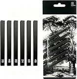 Tolenre Crayons Fusain 6 pièces Bâtons de Charbon Comprimé Crayon Fusain pour Croquis Cray...