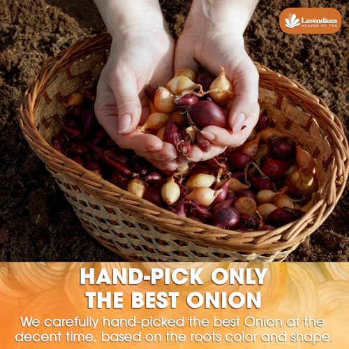 Image of Lavendium, Premium 25oz Onion Powder, 100% Natural & Pure Ground Onion, No Additives or Preservatives, Non-GMO, Plant-Based & Vegan, Perfect for Soups, Sauces, Seasoning & Marinades