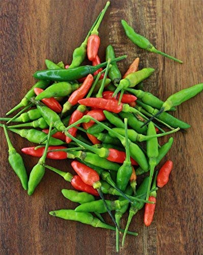 Creative Farmer Vegetable Seeds Thai Chili Seeds - Bird Chilli -Red Seeds Quite Hot (Piquant) Veg Seeds Home Garden Seeds (B07N4734XZ) Amazon Price History, Amazon Price Tracker