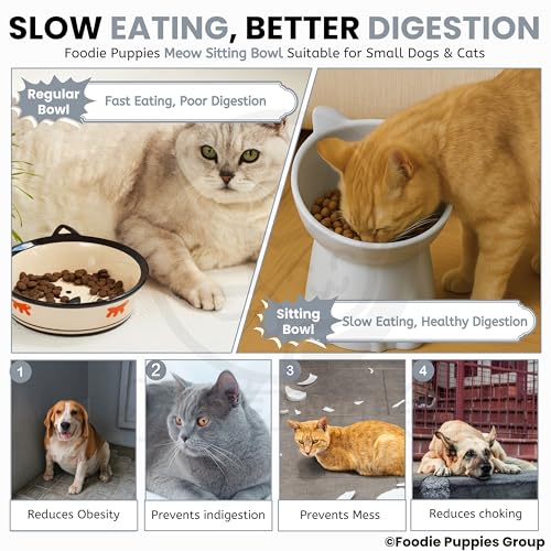 Image of Foodie Puppies Pet Elevated Food and Water Tilted Cat Bowl (Sitting Meow Bowl) | Durable, Anti Vomiting Cat Feeder for Persian Cats Prevent Tipping Over | Elevated Feeder for Cats, Kittens & Puppies
