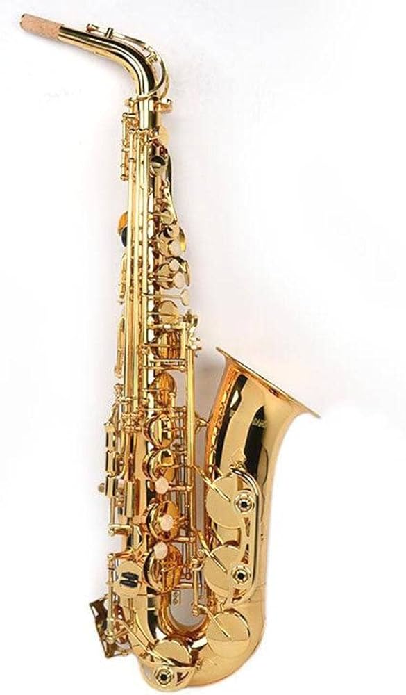 その他 sasamo Amazon.com: Benjamin Adams by Sam Ash Beginner Alto Saxophone