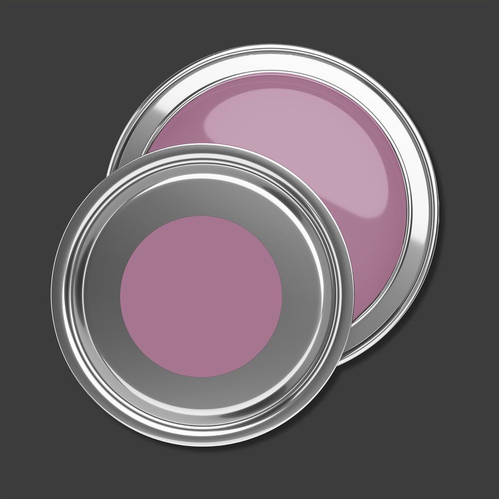 Peinture murale mate lavable pour l'intérieur Violet Violet Violet Sans odeur ni solvant Bidon de 2,5 l