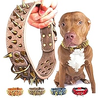 DOG COLLAR WIDE ブラック 81K1Zf42KrL._UF350,350_QL50_.jpg