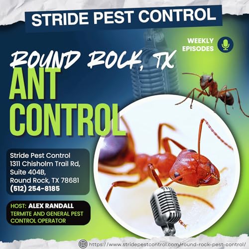 Round Rock, TX Ant Control