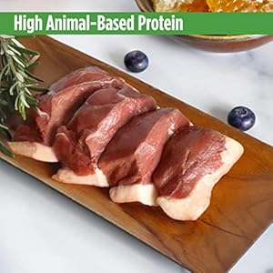 Nulo Freestyle Small Breed Grownup Moist Canned Canine Meals Premium All Pure Grainfree with Omega 3  6 for a Wholesome Coat and Excessive Animalprimarily Based Protein 55 Ounce pack of 24  Cucciolini Doodles Nulo freestyle small breed grownup moist canned canine meals premium all pure grain free with omega 3  6 for a wholesome coat and excessive animal primarily based protein 5 5 ounce pack of 24   cucciolini doodles