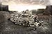 Mega Bloks Call of Duty Desert Tank Building Set