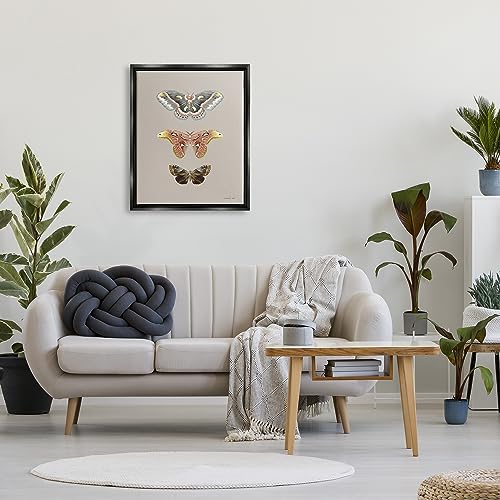 Image of Vintage Moth Specimens Nature, 24 x 30 Inch Canvas in Floater Frame