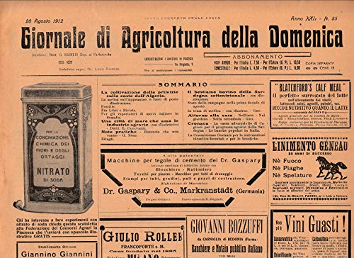 Giornale di Agricoltura della Domenica N° 35, Il bestiame bovino della Sardegna Settentrionale, La coltivazione delle primizie sulle coste dell'Algeria, rare pubblicita settoriali di epoca.