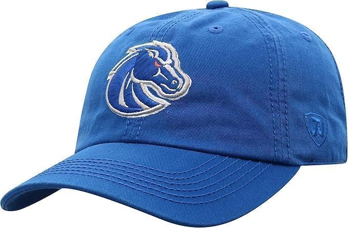 Collegiate Primary Color Relaxed Fit Adjustable Hats