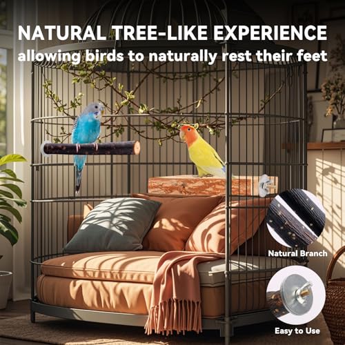 Image of Bird Toys Parakeet Perch Budgie Perch Wood Stand Fork Toys Multi-Branch Perch Platform Toy for Small Conures,Cockatiel,Parrotlet,Lovebird,Parrot,Finches