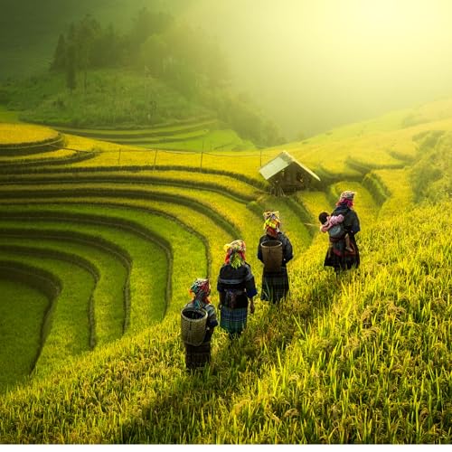 Nu &ouml;ppnar Thailand