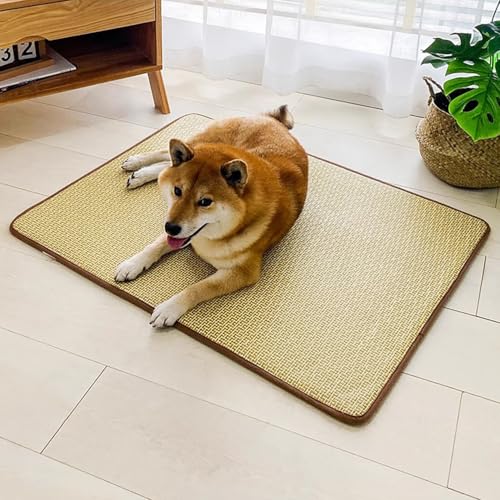 �ō��̗�p�h�b�O�}�b�g�A�y�ʌ��p��p�}�b�g�����A���p�ėp��p�x�b�h�A����~�߁A��^���p��p���p�u�����P�b�g�A���p��p�N���[�g�p�b�h�􂦂�B�A60x50cm