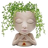 maceta bulbasaur amazon Más grande y estable: la jardinera mide 20 cm de alto y 14,5 cm de ancho en la parte inferior, más alta y ancha que otras, por lo que es más estable; la abertura superior del recipiente para plantas mide 8,6x5,8 cm, apta para plantas pequeñas