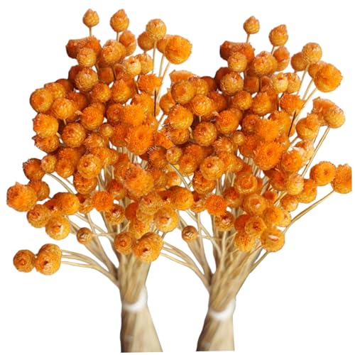 Bouquet 2PCS flores secas naranja 40 cm con tallos miniatura 1