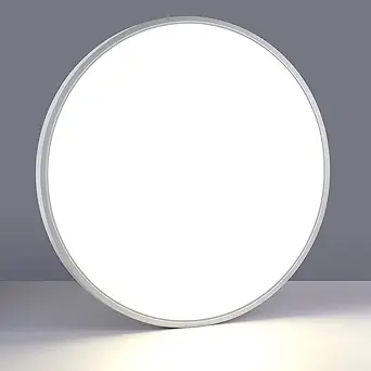 LightingWill 24 Inch LED Flush Mount Ceiling Light Fixture, 5000K Daylight White, 5600LM, 45W, Flat Modern Round Lighting Fixture, 400W Equivalent White Ceiling Lamp for Kitchens, Bedrooms.etc.