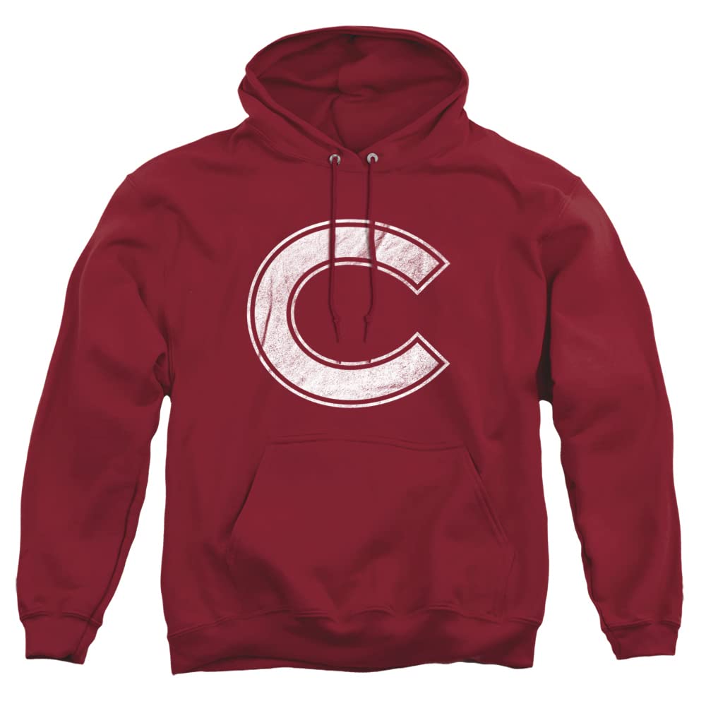 LOGOVISION Official Collegiate Distressed Primary Logo Adult Pullover Hoodie Collection — view 423