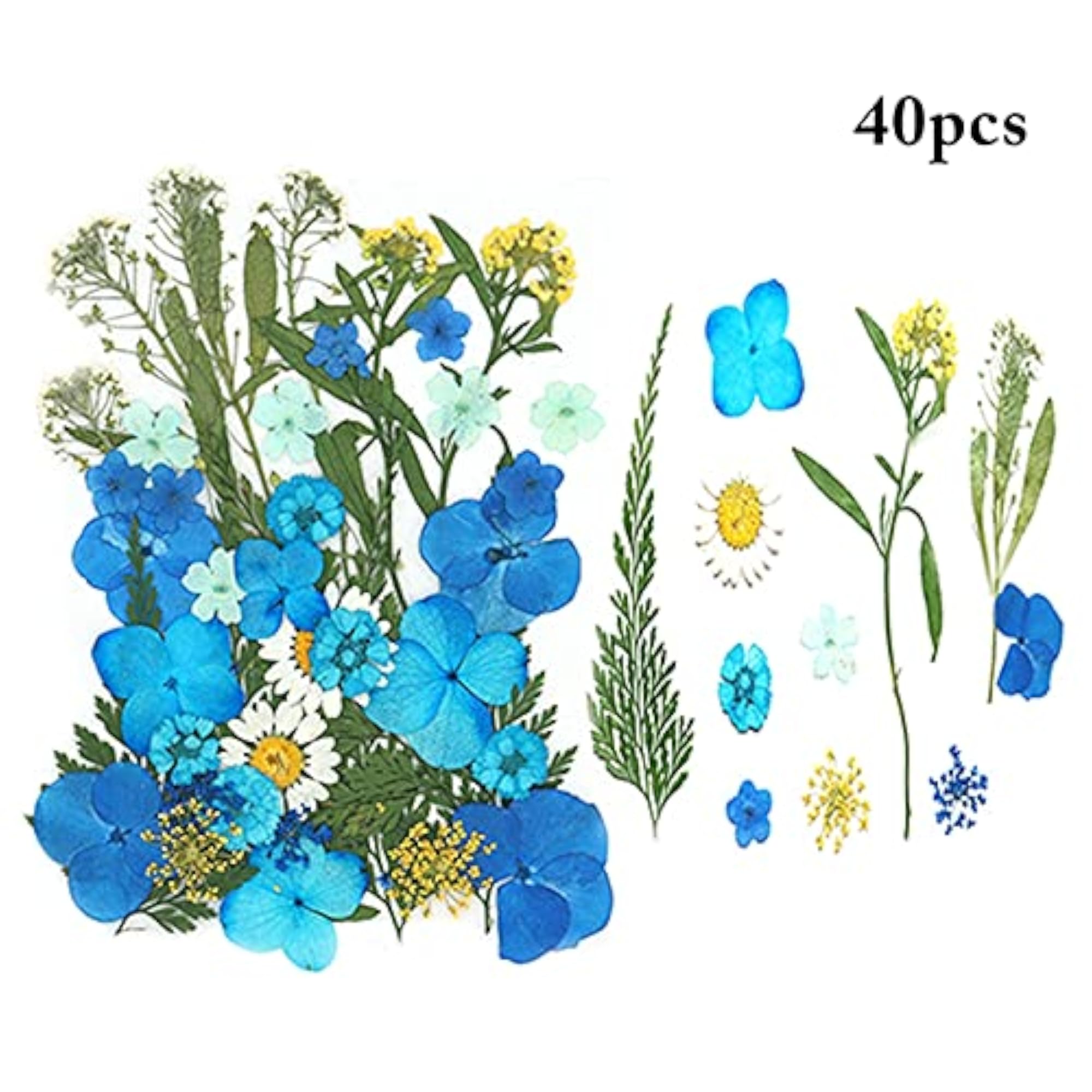 Assorted 40PCS Real Dried Flower Kit for DIY Crafts