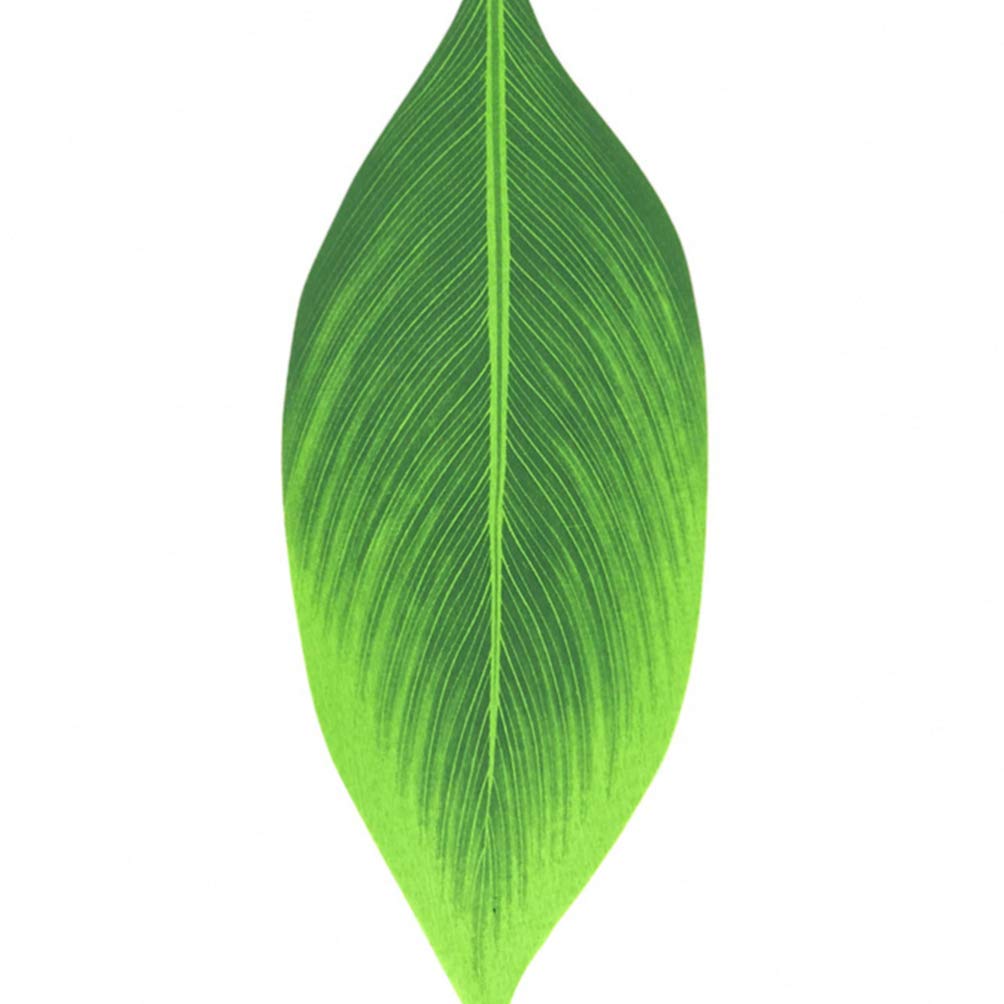 PretyZoom Hawaiian Tropical Hula Grass Skirt Luau Leaf Skirt for Beach Luau Party Supplies for Adults 28 Inch Colourful 70cm Green - Image 4