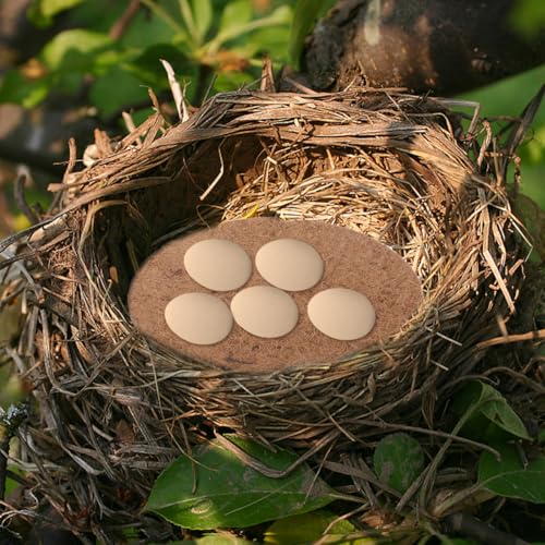 Image of POPETPOP 10 Pcs Bird Nesting Pads: Breathable Natural Coconut Fiber Pigeon Nest Mats - Warm Comfortable Bird Eggs Mat for Parakeet Hatching - Pigeon Breeding Accessories