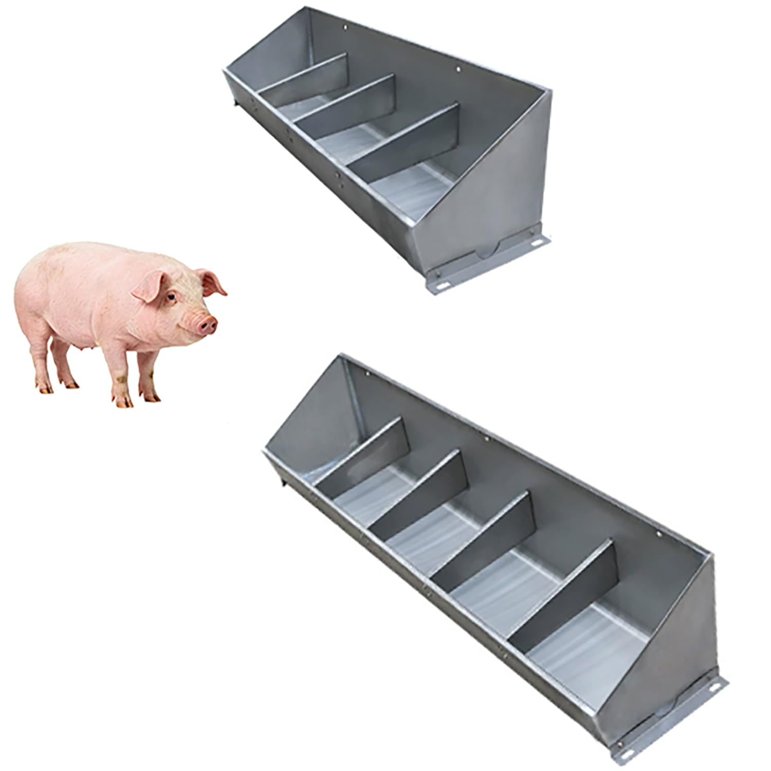 Mangeoire en métal pour cochon à 5 compartiments et alimentation du poulet en plein air