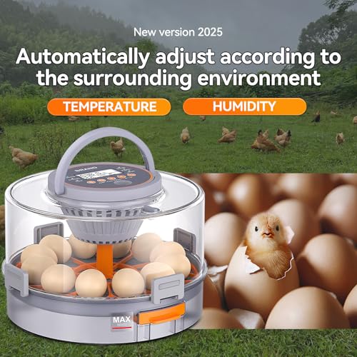 50% Off 12 Egg Incubator with Auto Turning & Humidity Control - Image 3