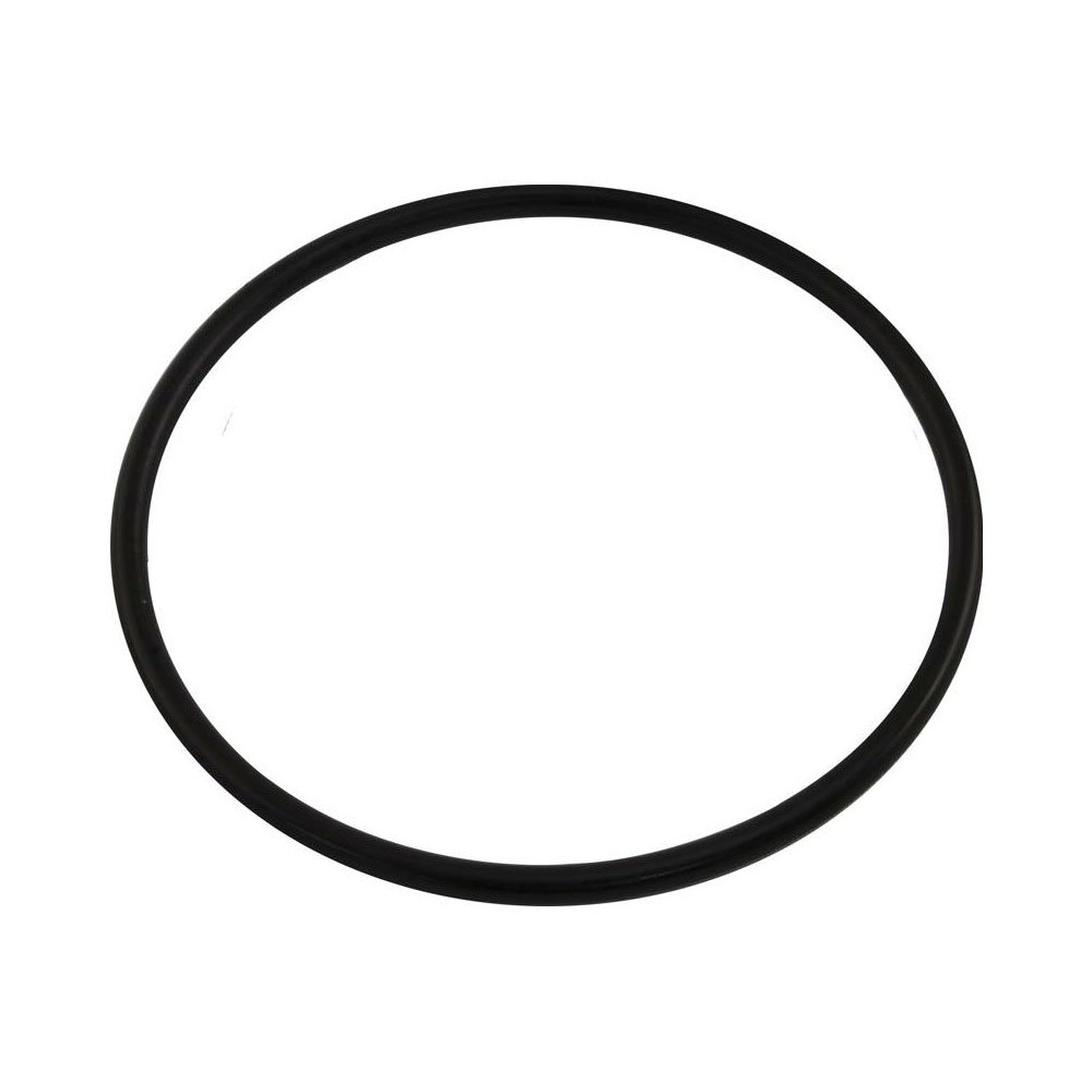 Pool Pump Lid O-Ring Replacement for Pentair Part 350013 for Challenger Pinnacle