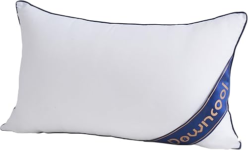 DOWNCOOL Juego de 1 almohadón rectangular blanco de 12 x 20 pulgadas, para sofá cama, almohadas decorativas para interiores