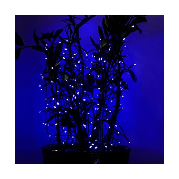 Tuokay, Innen Lichterkette mit Stecker, 23m 200 LED 8 Modi Wasserdicht Weihnachtsdeko, Dekorative Weihnachtsbeleuchtung… – Bild 7