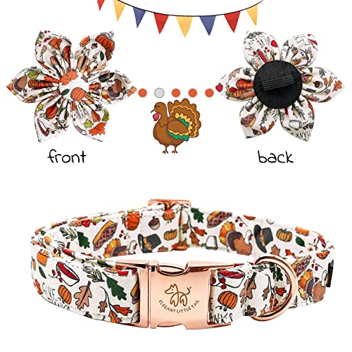 Collier pour chien durable avec fleur | Qualité supérieure