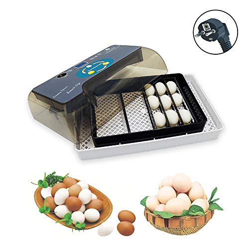 Huatuo avioneta de Aves de Corral Digital Totalmente automática Incubadora de Huevos de 12 Huevos para incubar Aves de gallina y Pato de gallina