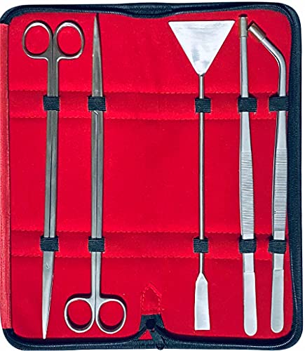 Innotech Aquarium Reinigung kit schwarz Aquascaping Komplett Set Terrarium Pflege Werkzeug aus Edel-Stahl (Pflanzen-Pinzetten, Pflanzenschere, Kiesspatel) (5 Stück Set mit Etui (Silber), 30 cm) Innotech Aquarium Reinigung kit schwarz Aquascaping Komplett Set Terrarium Pflege Werkzeug aus Edel-Stahl (Pflanzen-Pinzetten, Pflanzenschere, Kiesspatel) (5 Stück Set mit Etui (Silber), 30 cm)