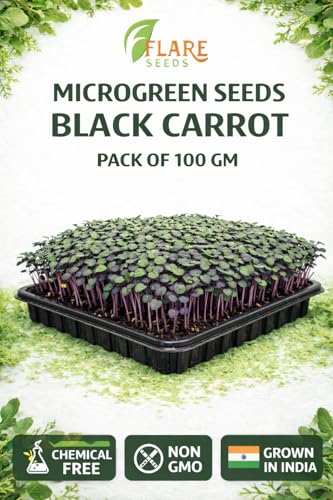Image of Black Carrot Microgreen Seeds, Chemical-Free, Non-GMO, 100g Pack with Free Coco Disk, Rich in Antioxidants and Vitamins for Indoor Growing