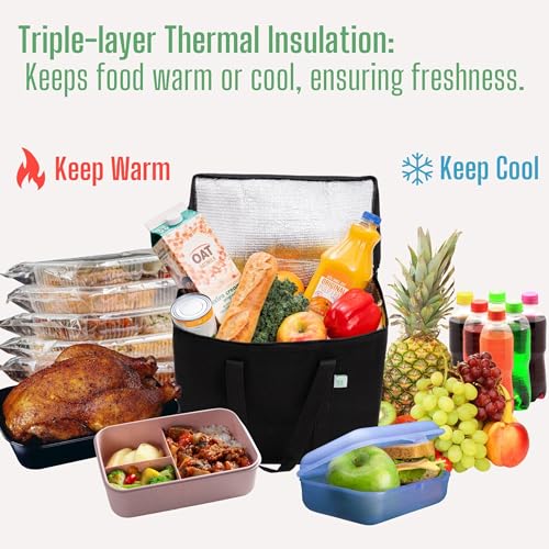 VENO 2-Pack Collapsible Cooler Bags
