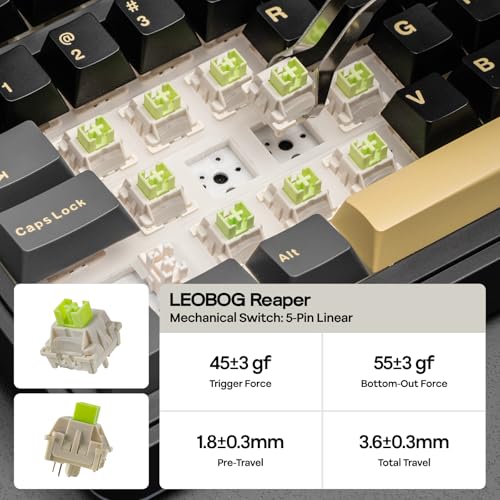 Image of EPOMAKER X Aula EA75 MAX Wireless Gaming Keyboard with Screen & Knob, 5000mAh, Hot-Swap, Lubed Switches, RGB Backlit, Creamy Gasket, 75% Mechanical Keyboard (Black, Reaper Switch)