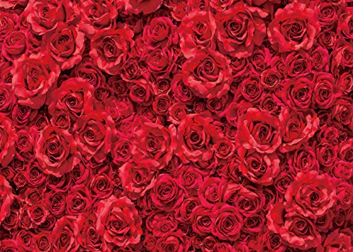 Fondo Fotográfico Floral Rojo 8x6ft para Fotografía miniatura 2