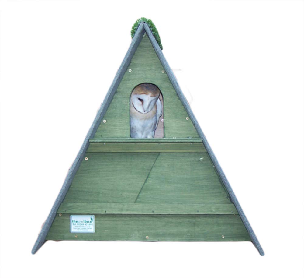 barn owl nest box (Forest Green)