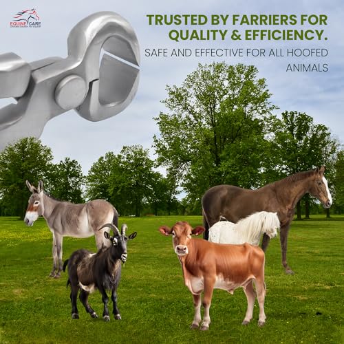 Equine Care 10-02 Inch Farrier Hoof Nipper thumb #6