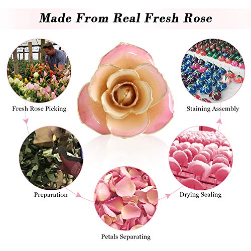 Listado de Rosa oro los mejores 5. 15 rosa oro marca Ejoyous (3)