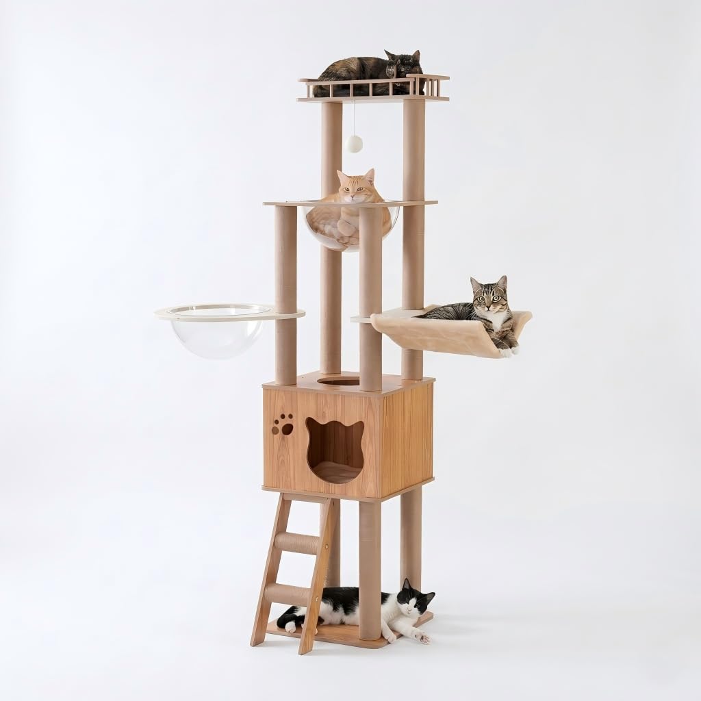 155 cm Grand Poteau à gratter avec Capsule Spatiale, en Jute, échelle, Cave, Jouet pour Chat, Plateformes en Peluche