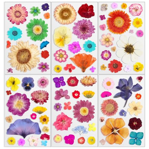 360 stickers de flores prensadas en 20 hojas miniatura 1