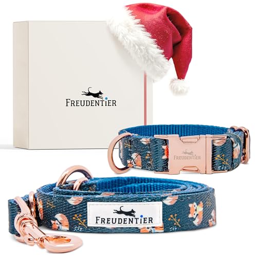 HAVNBERG Hundeleine, Kurzleine, Freizeitleine, Stadtleine, Schleppleine, Leine für Hunde, mit schwarzen Karabiner und Top Design, im Navajo Design, Länge 153cm, weiß, türkis, rot, schwarz