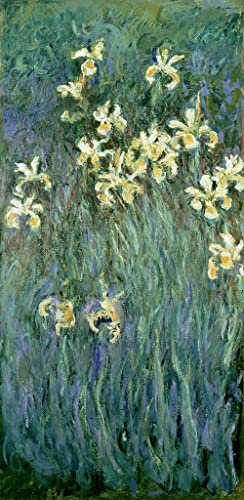 Toile Les Iris Jaunes Claude Monet décoration murale élégante pour salon et bureau