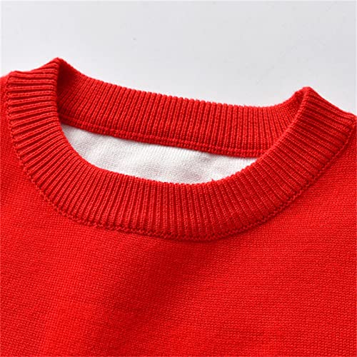 Toddler Boys Girls Pullover Christmas Long Sleeve Dinosaur Print Knit Sweater Winter Thermal Warm Thick Tops3