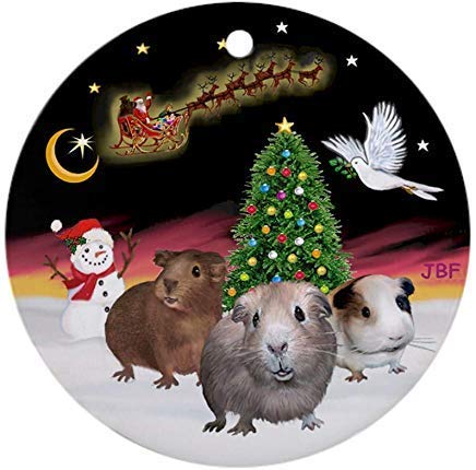Bohai Store Night Flight And Amp Guinea Pigs Christmas - Main Image