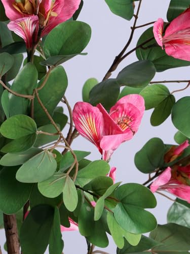 Image of ARICK DECOR 5Ft Artificial Pink Bauhinia Flowers Tree in Pot, 5ft Realistic Faux Lush Orchid Tree Silk Plant, Peacock Shaped Large Floor Decor for Home, Office & Balcony