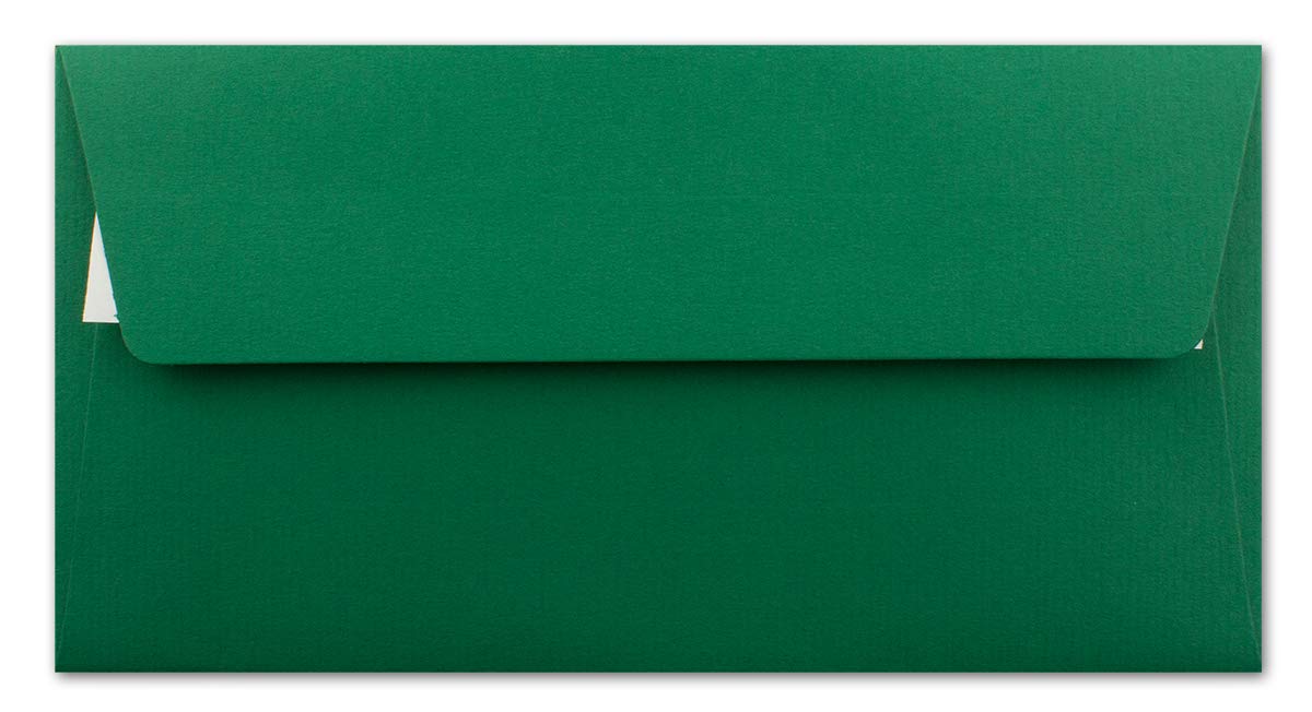 Neuser FarbenFroh - Buste per lettere, formato DIN lungo, imbottite con carta velina, 110 g/m2, 110 x 220 mm, chiusura con striscia adesiva 150 Stück Verde scuro con fodera verde.