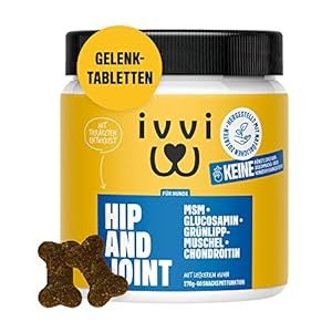 ivvi Hip & Joint – Highly Concentrated Joint Tablets for Dogs as Treats with Green-Lipped Mussel Dog, Glucosamine, Chondroitin & MSM – 60 Delicious Snacks (270 g) with Chicken